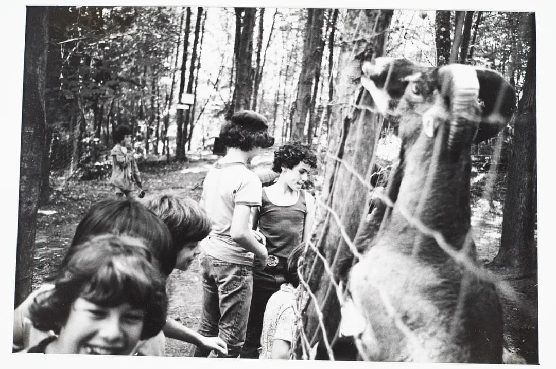 From The Seventies — image asset