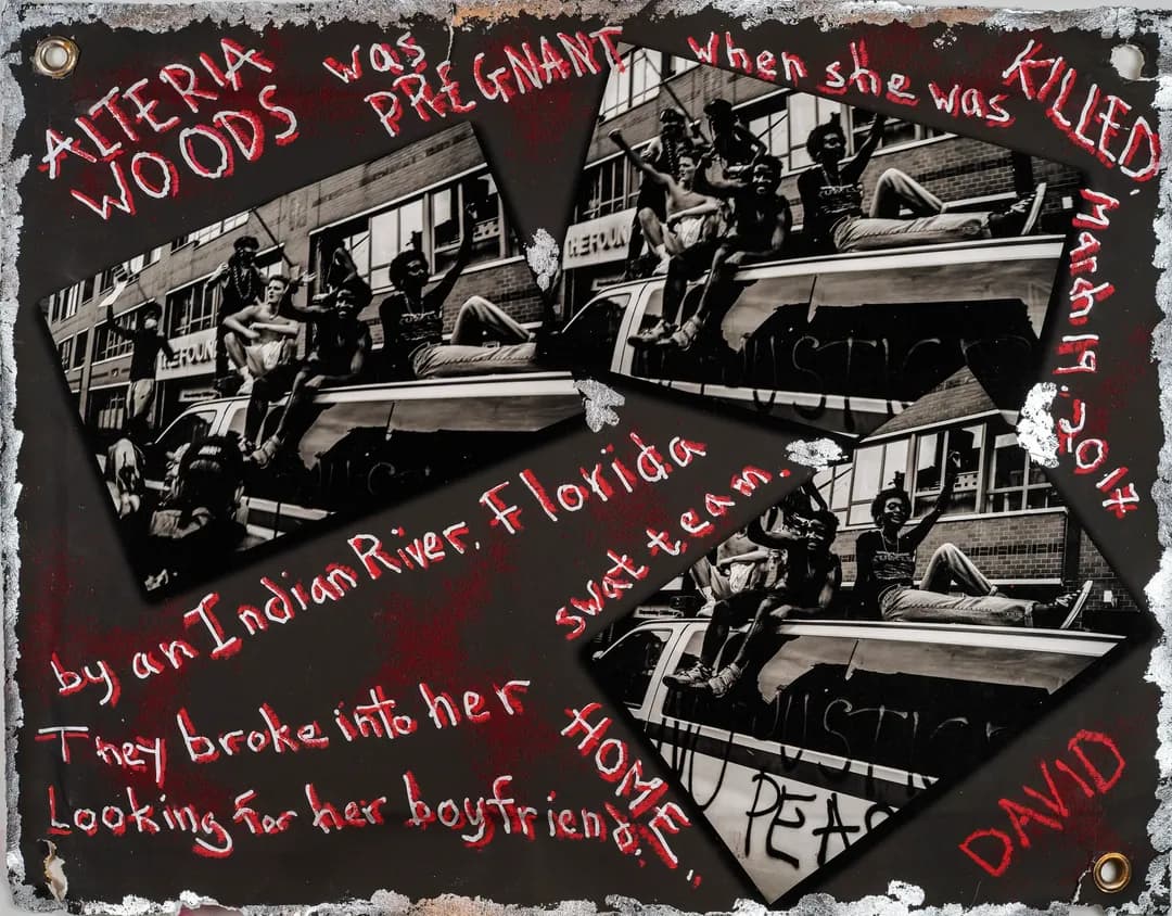 Revolution 2020 — alteria woods art work DSC00297