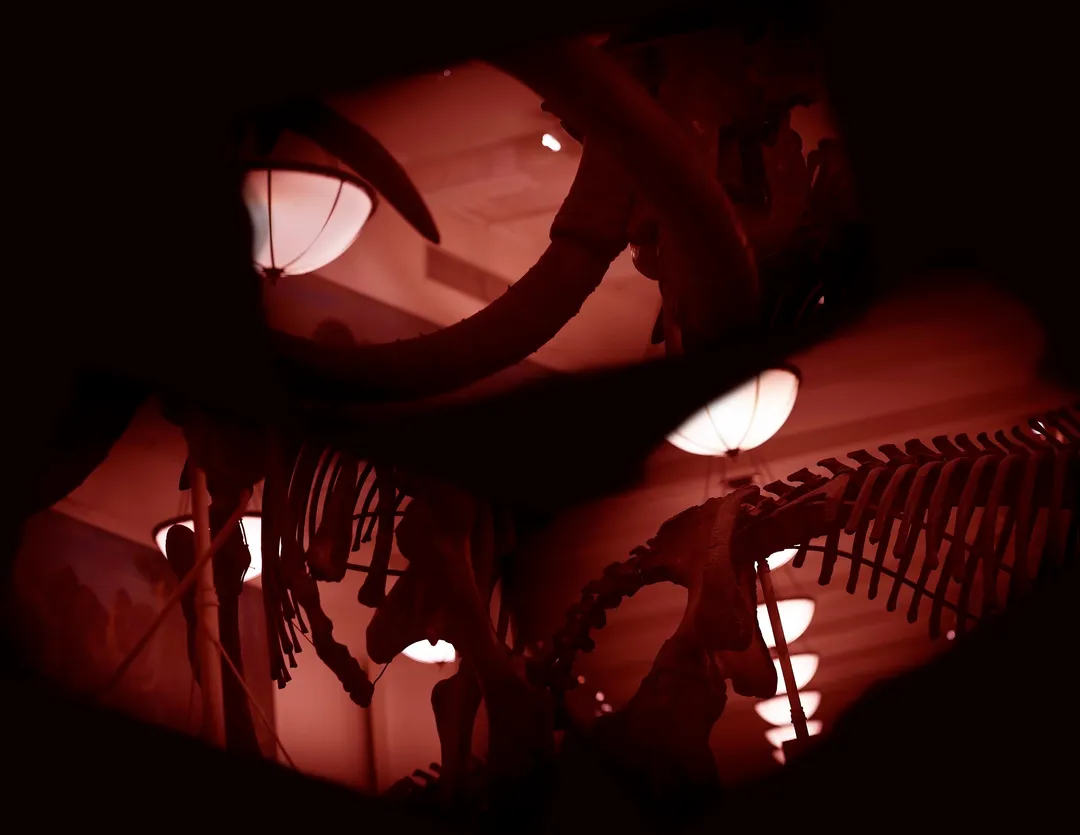 Tea Time For Tea Rex I Am Not A Robot — reibman david06