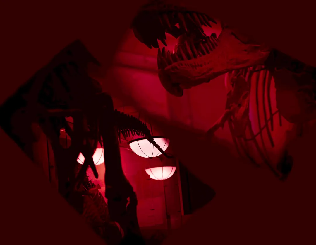 Tea Time For Tea Rex I Am Not A Robot — reibman david07