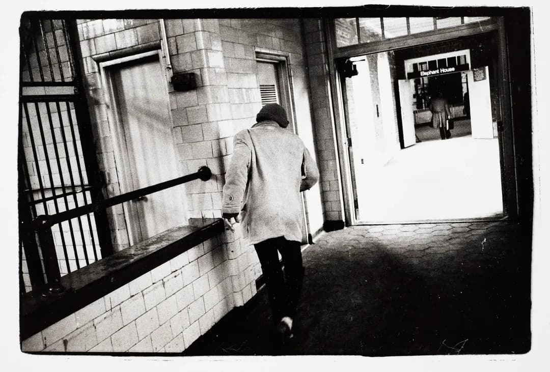From The Seventies — central park zoo